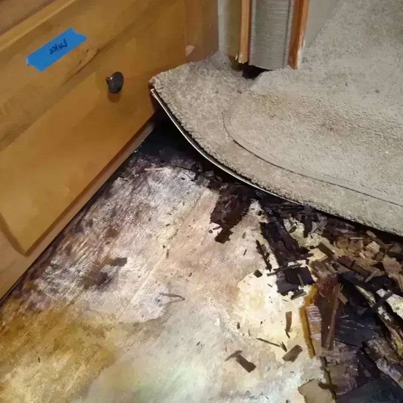 Best Wood Floor Water Damage Service in Haysville, KS